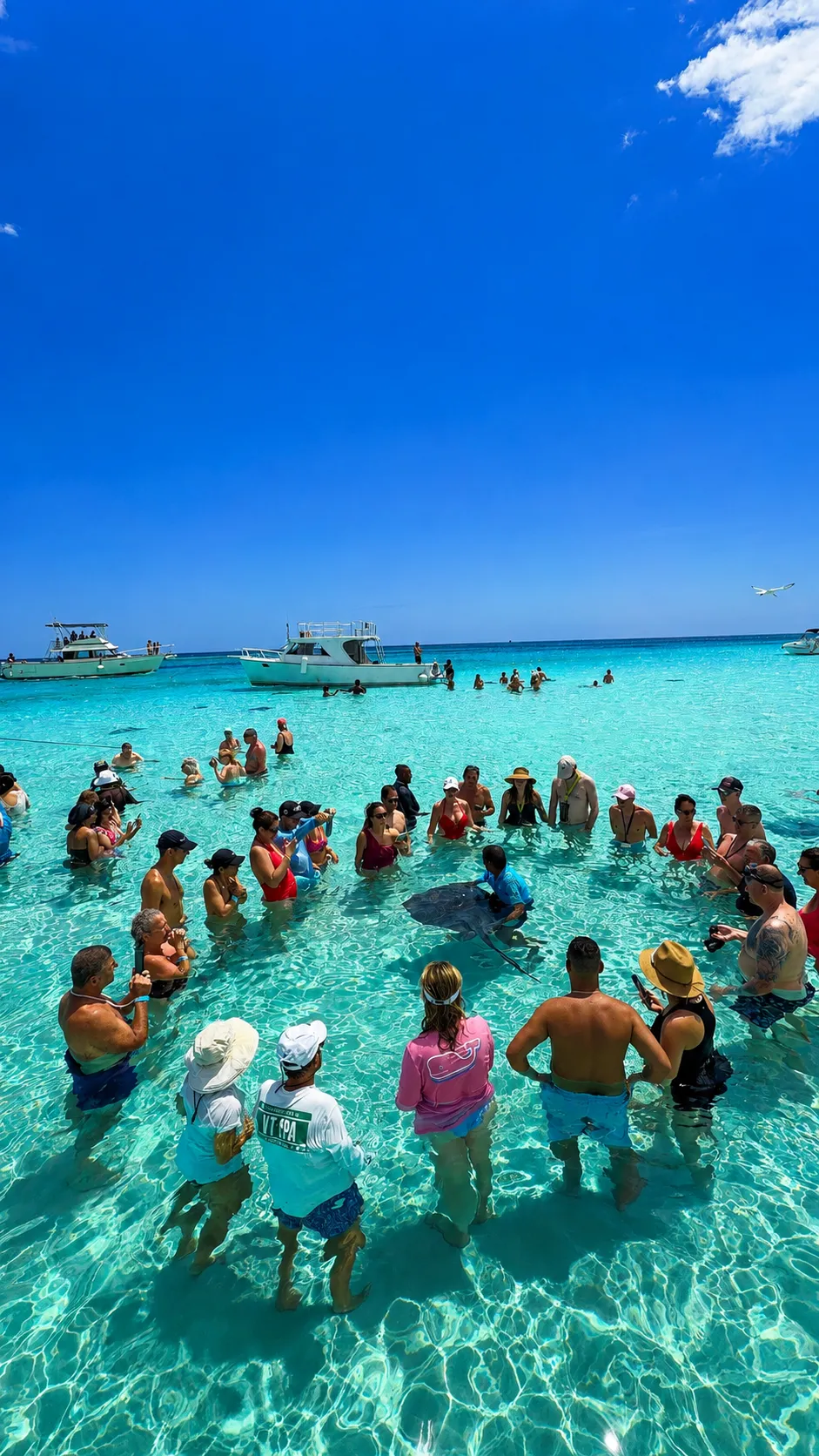 Ilhas Cayman, no Caribe
