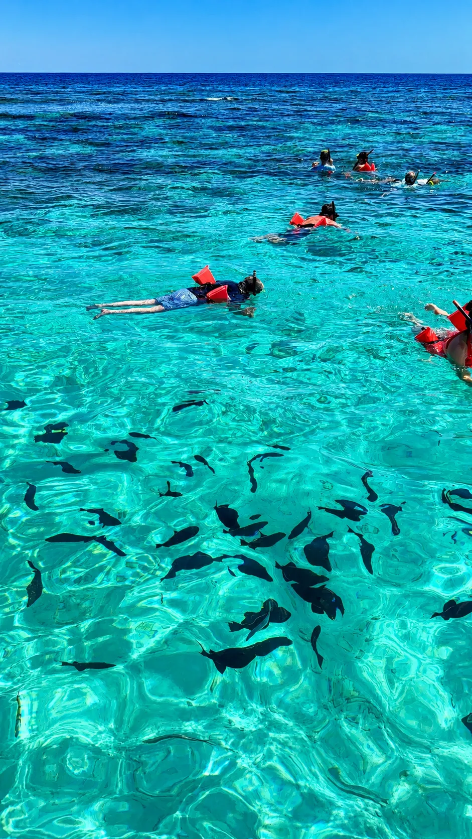 Ilhas Cayman, no Caribe