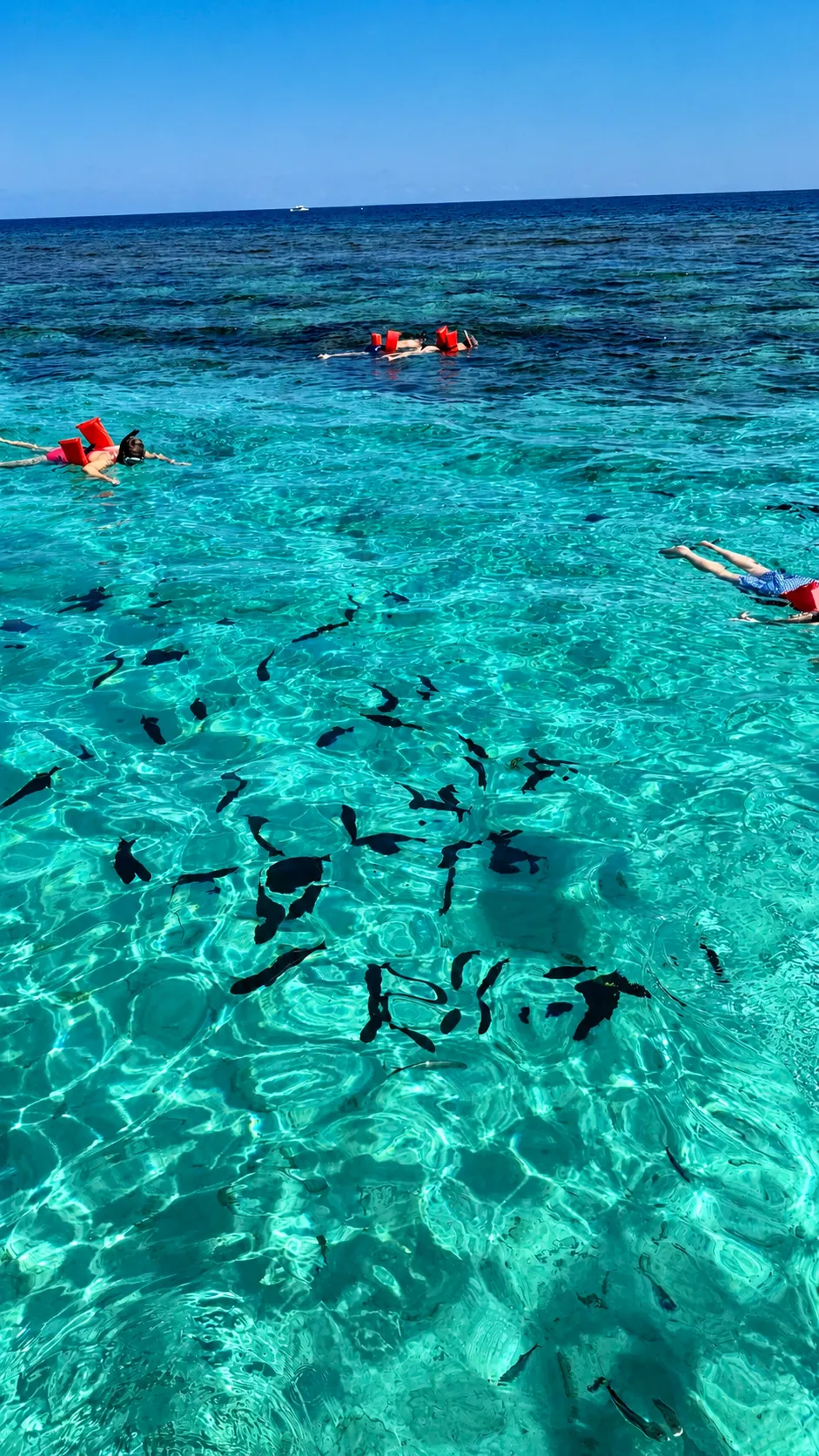 Ilhas Cayman, no Caribe