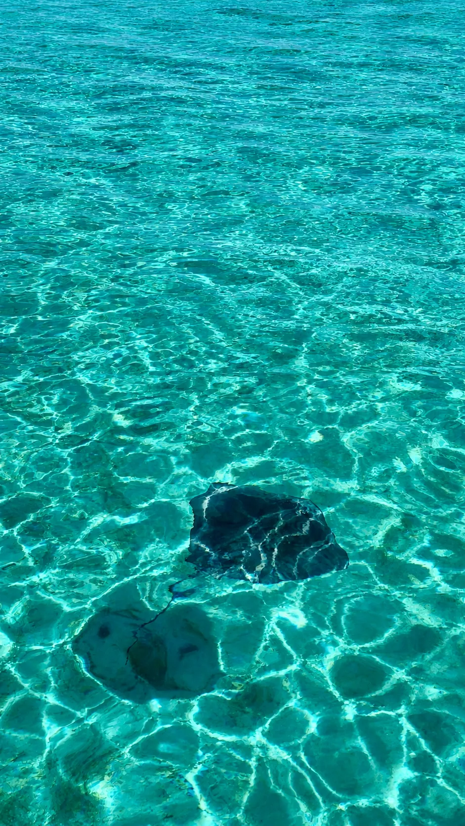 Ilhas Cayman, no Caribe