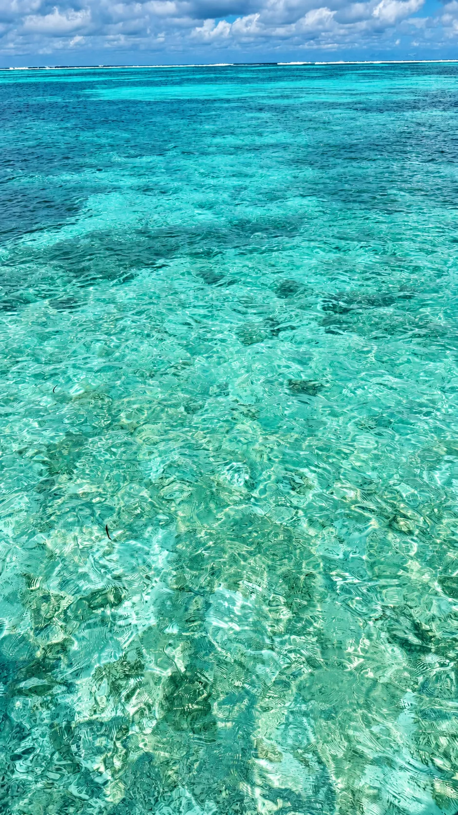 Bangalô do Gili Lankanfushi